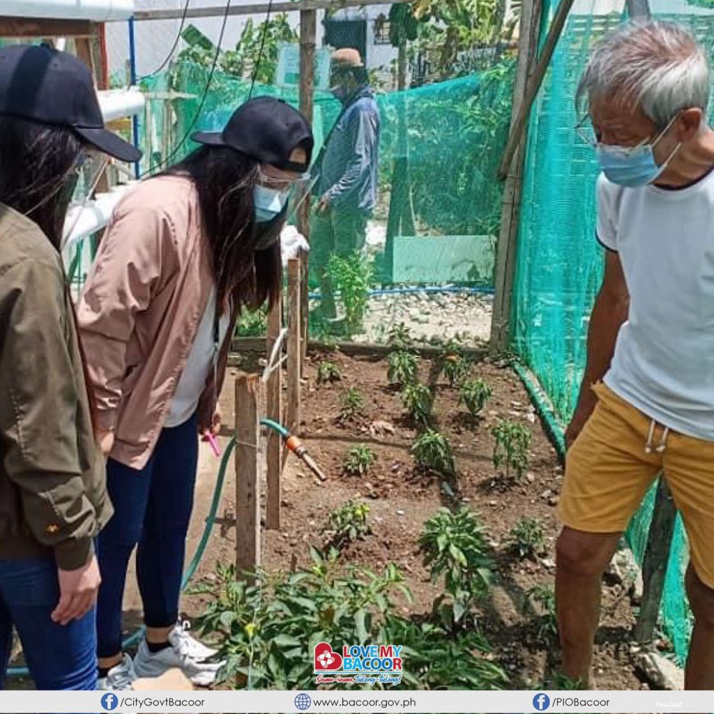 Agad Na Binisita Ng Mga Kawani Ng City Agriculture Office Bacoor