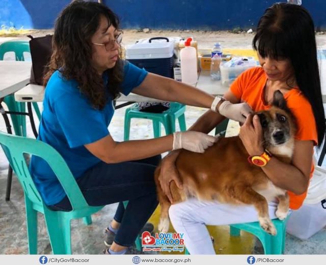 Nagsagawa ng libreng rabies vaccination service ang Bacoor City ...